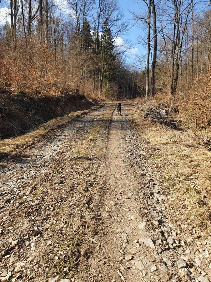 Horska Chata V Srdci Kremnickych Hor Banská Bystrica Exterior foto
